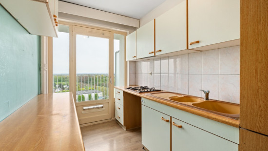 Twee Leeuwenweg - 20 - 13/01 - 1800