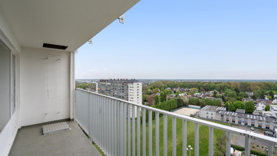 Twee Leeuwenweg - 20 - 13/01 - 1800