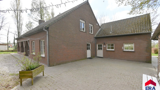 Halledreef - 17 - B - 9990