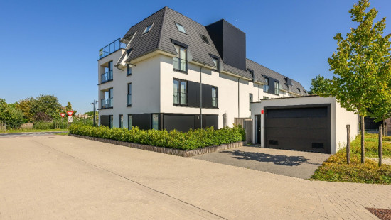 Wingenesteenweg - 29 - 0301 - 8750