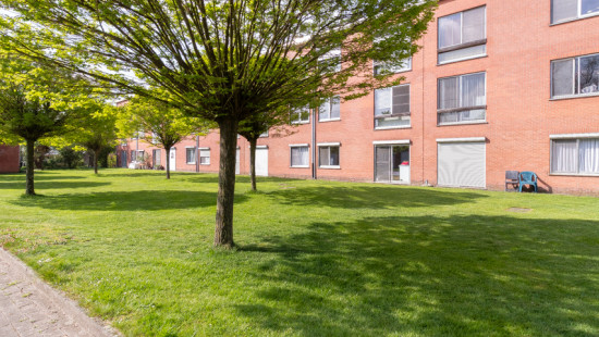 Schuurveldlaan - 43 - 001 - 2610