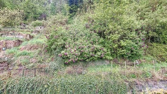 Rue de Tilff - 242 - - 4031