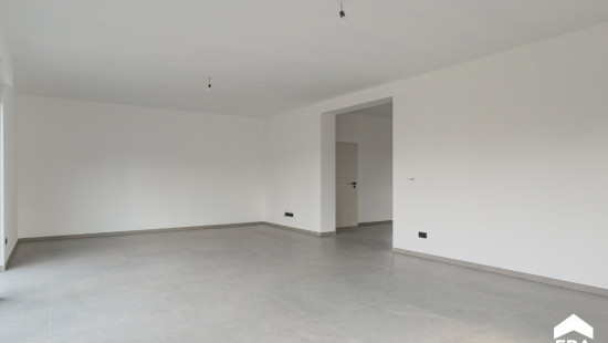 Dautenstraat - 97 - - 3590