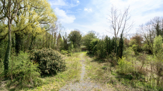 Rue des sports - 29 - - 7800