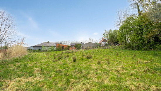 Reustraat - 43 - - 3290