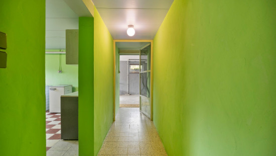 Reustraat - 43 - - 3290