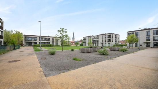 Ten Wijngaarde - 8 - 0001 - 9150