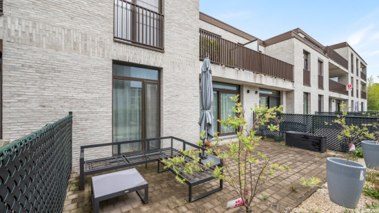 Ten Wijngaarde - 8 - 0001 - 9150