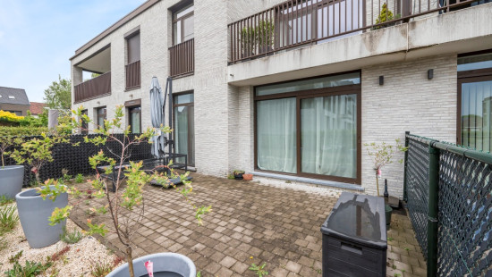 Ten Wijngaarde - 8 - 0001 - 9150