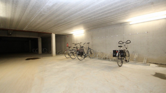 Ten Wijngaarde - 8 - 0001 - 9150