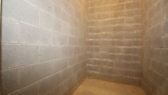 Ten Wijngaarde - 8 - 0001 - 9150