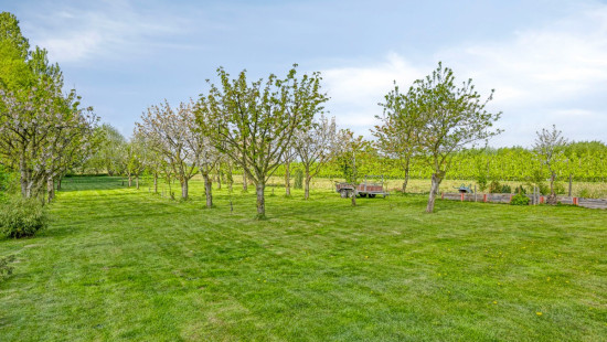 Grote Baan - 122 - - 3454