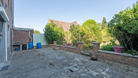 Ruelle Haute - 15 - - 7822