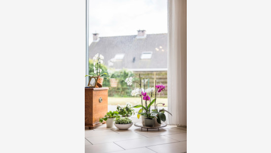 Grote Dweersstraat - 10b - - 9140