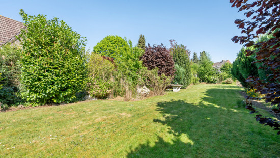 Ruelle Haute - 15 - - 7822