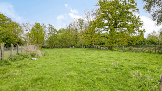 Hulst - 9 - - 3272