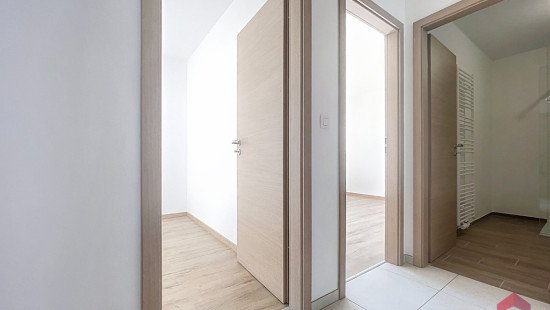 Rue de Dave - 387 - 04 - 5100