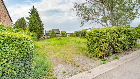 Rue des muguets - 41 - - 5377