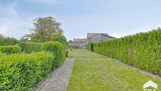 Wijngaardstraat - 29 - - 3400