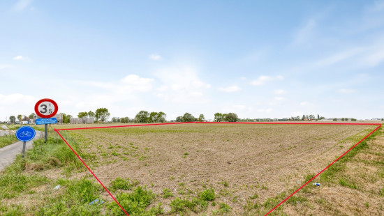 Nieuwe Herberg - 1 - - 8690