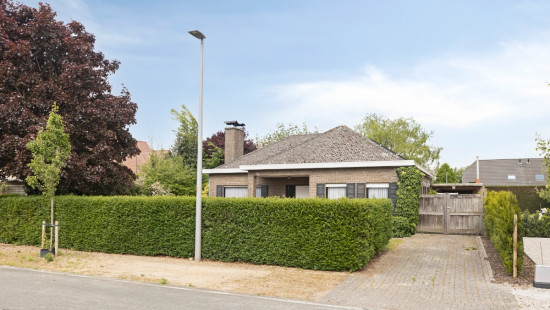 Papegaaistraat - 3 - - 9870
