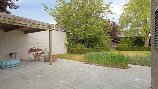 Papegaaistraat - 3 - - 9870