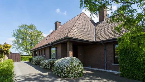 Breestraat - 75 - - 8540