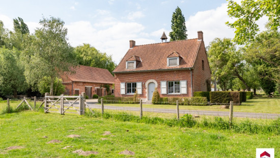 Sint-Amandstraat - 4 - - 8760