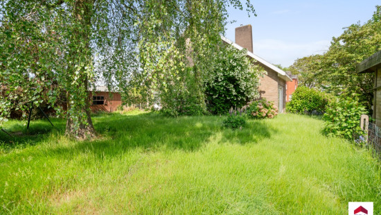 Haantjesstraat - 13 - - 8700