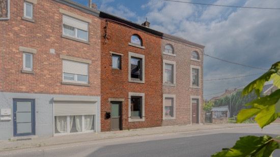 Rue Roosevelt - 161 - - 4624