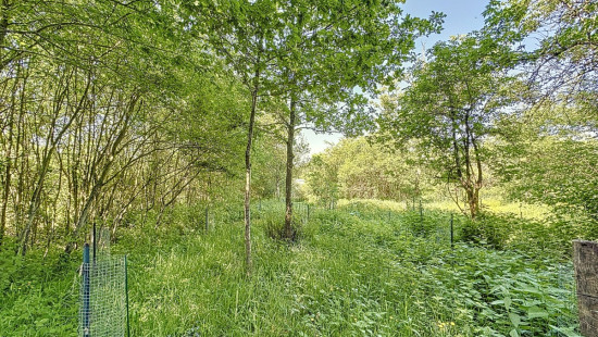 Rue Rondfontaine - 12 - - 4052