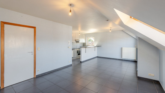 Assenedesteenweg - 69 / 02 - - 9060