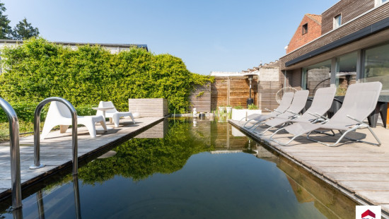 Gentstraat - 206 - - 8770