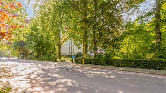 Hovestraat - 161 - 21 - 2650