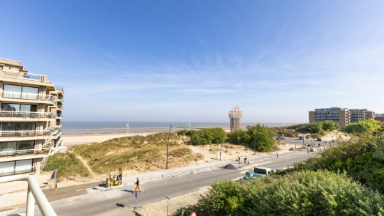 Zeemeeuwenstraat - 1 - 202 - 8670