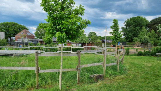 Weg op Bree - 106 - - 3670