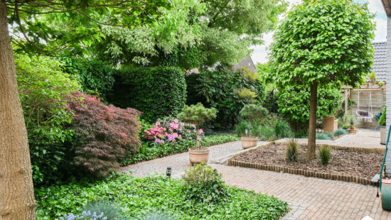 Boterbloemstraat - 26 - - 3970