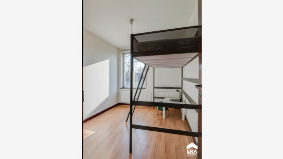 Sint-Jobstraat - 204 - - 3550