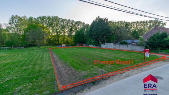 Molendries - 31 - - 3210