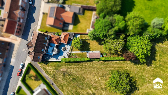 Sint-Livinusstraat - 29 - - 8906