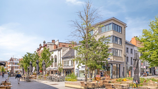 Désiré Boucherystraat - 12 - - 2800