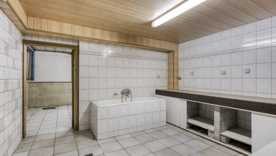 Bosduifstraat - 14 - - 3530