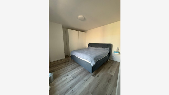 Willem Elsschotstraat - 8 - - 3511