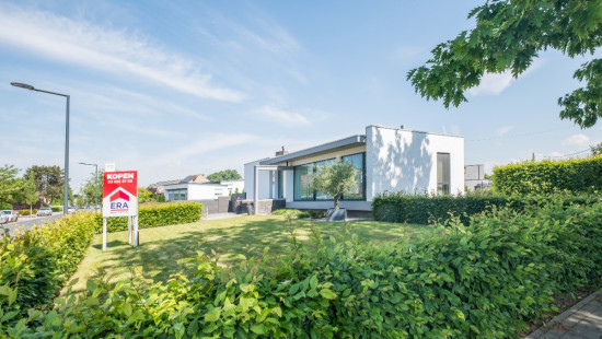 Ringlaan - 175 - - 1745