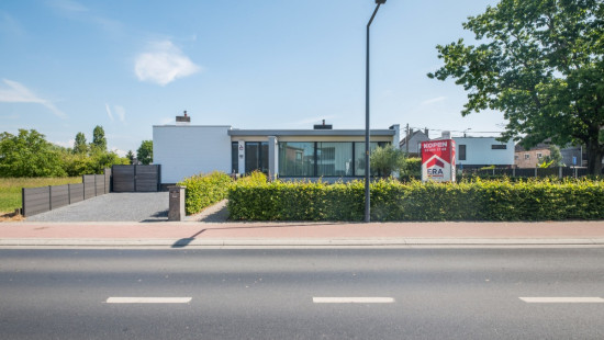 Ringlaan - 175 - - 1745