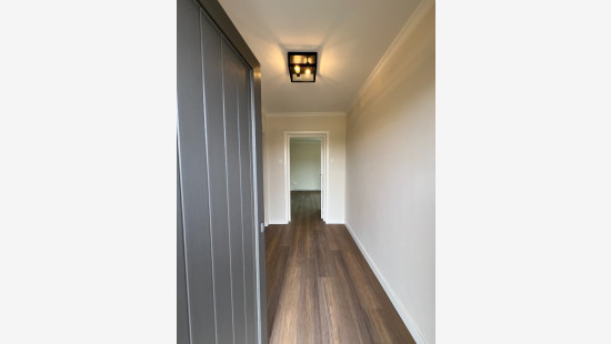 Hagelkruisstraat - 8 - - 3920