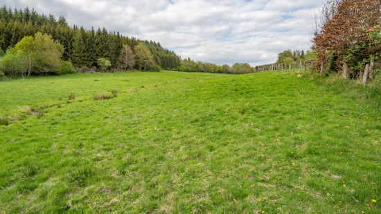 Chemin de la Quiétude - 0 - - 6688