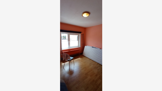 Lutlommel - 236 - - 3920