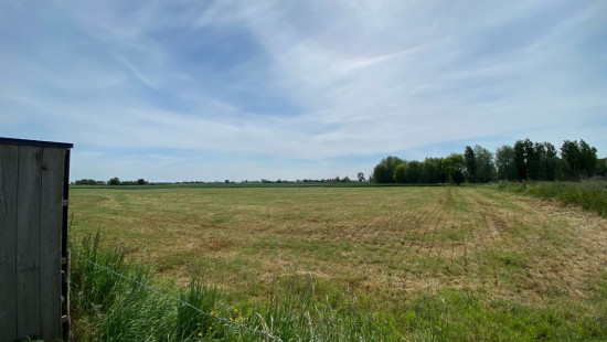 Putstraat - 20 - 0202 - 20/0202 - 8690