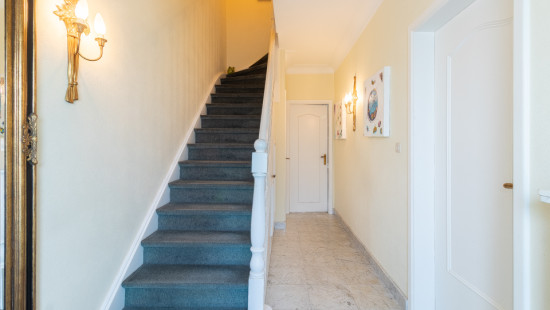Hermelijnstraat - 19 - - 2610